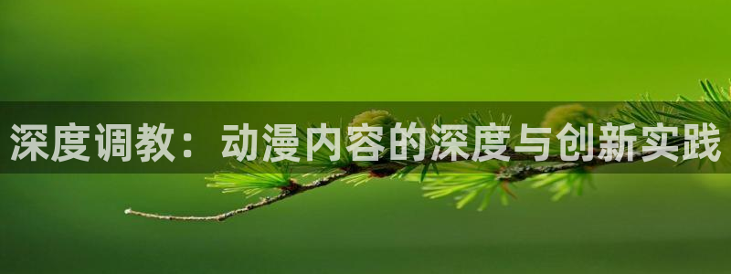 我的碧可风车动漫