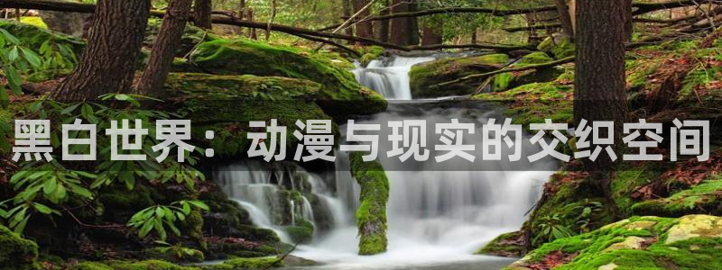 风车动漫网在线