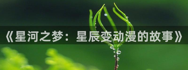 父爱如山风车动漫