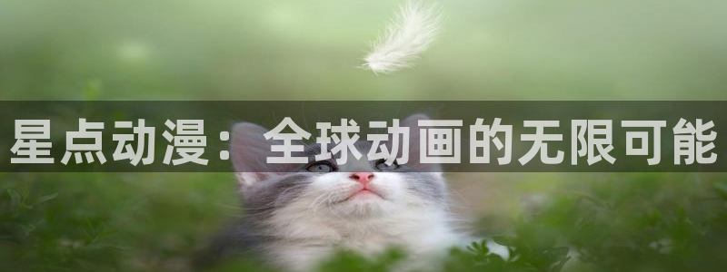 风车动漫网在线