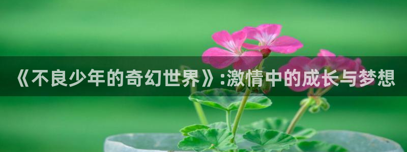 风车动漫(p)_专注动漫的门户网站